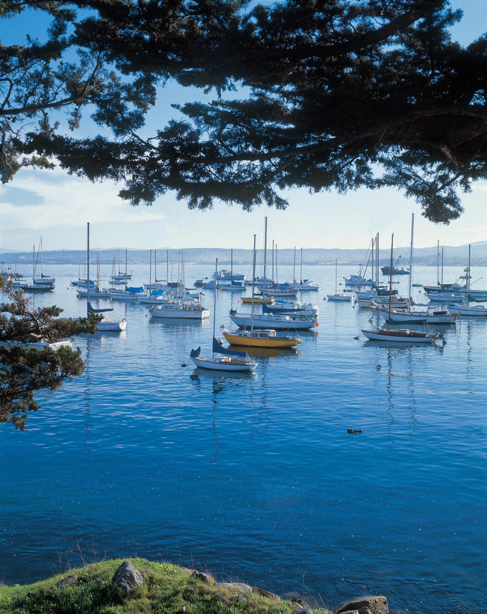 Monterey Bay Inn Exterior foto